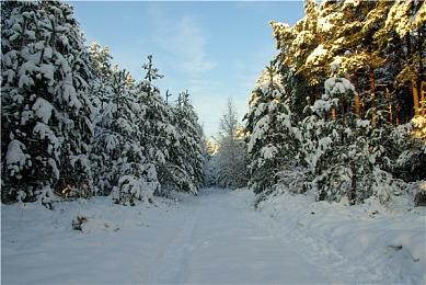 PS CEO过去一年来最爱玩《瑞奇与叮当：分离》